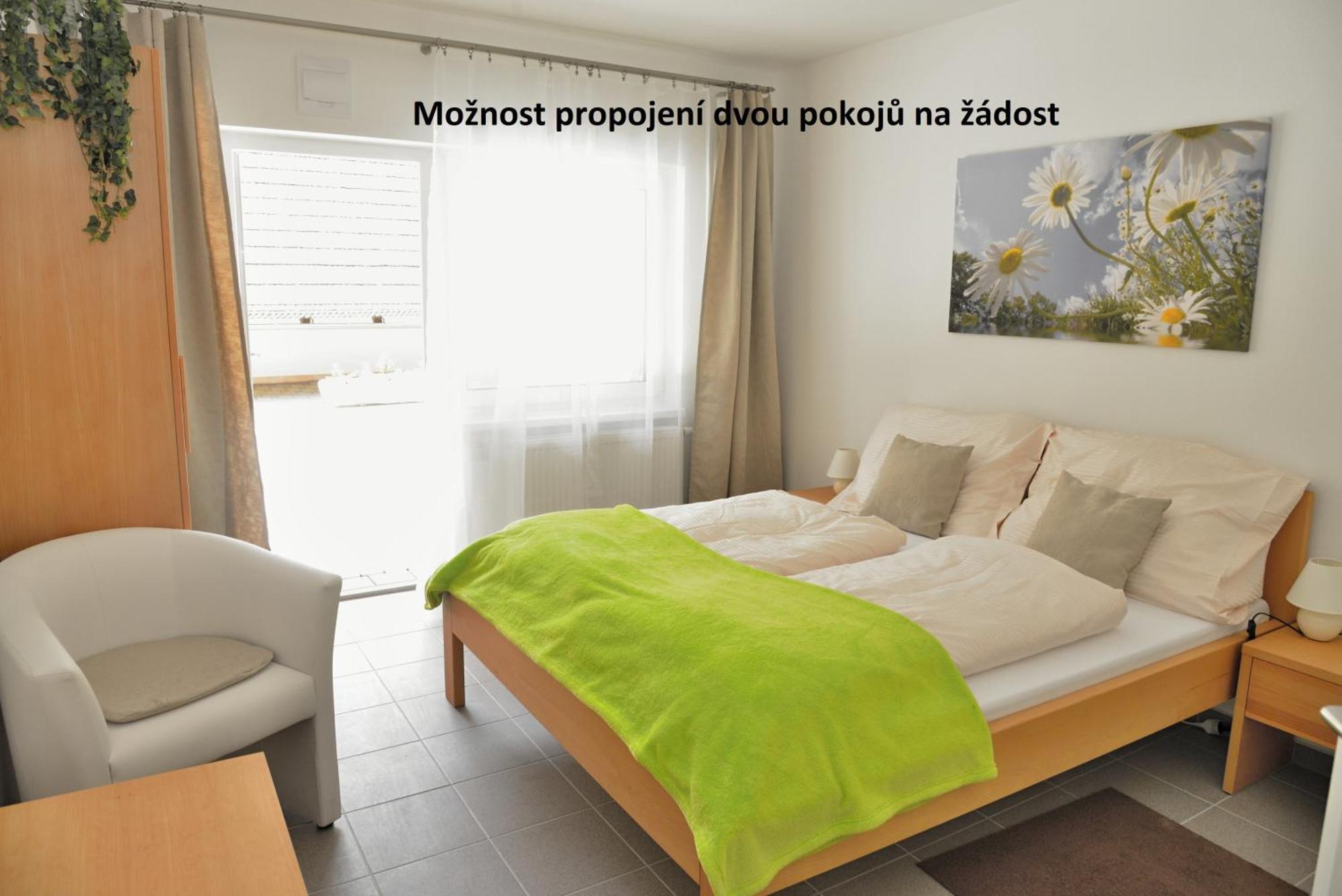 Penzion A Restaurace Pintovka ターボル エクステリア 写真